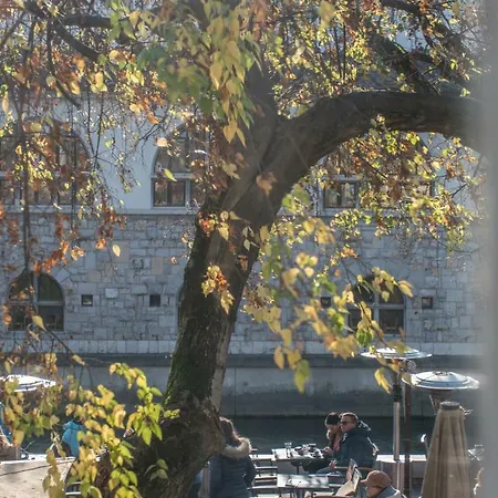 Appartement River View *