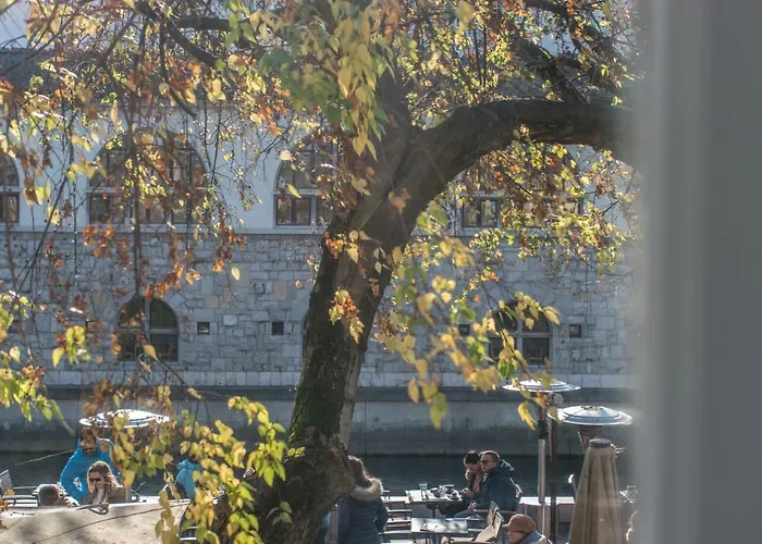 Διαμέρισμα River View *